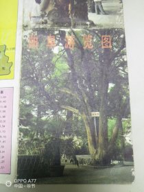 1986年山东省曲阜县旅游地图