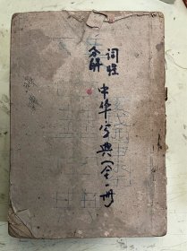 词性分解红皮中华字典（全一册）