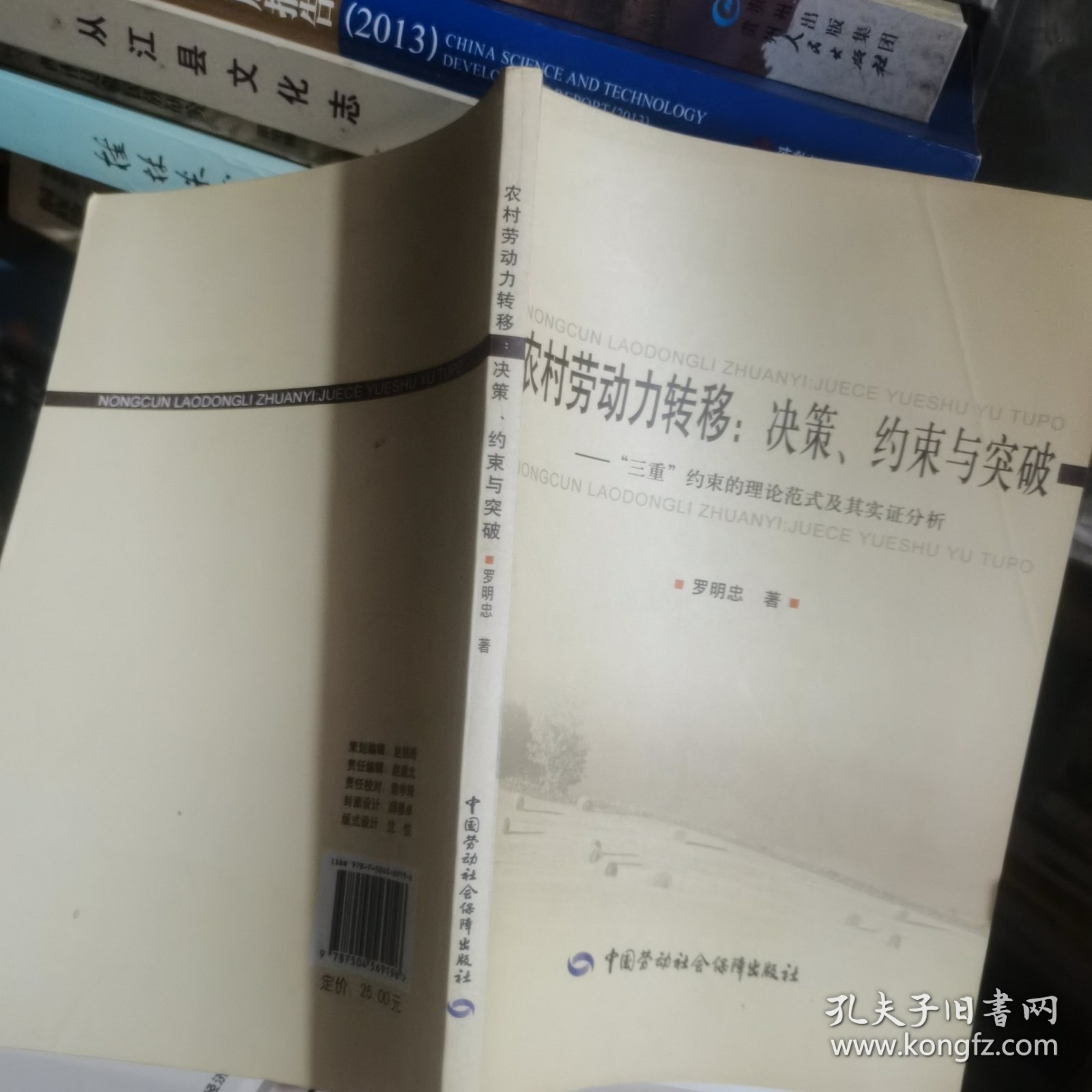 农村劳动力转移：决策、约束与突破:“三重”约束的理论范式及其实证分析