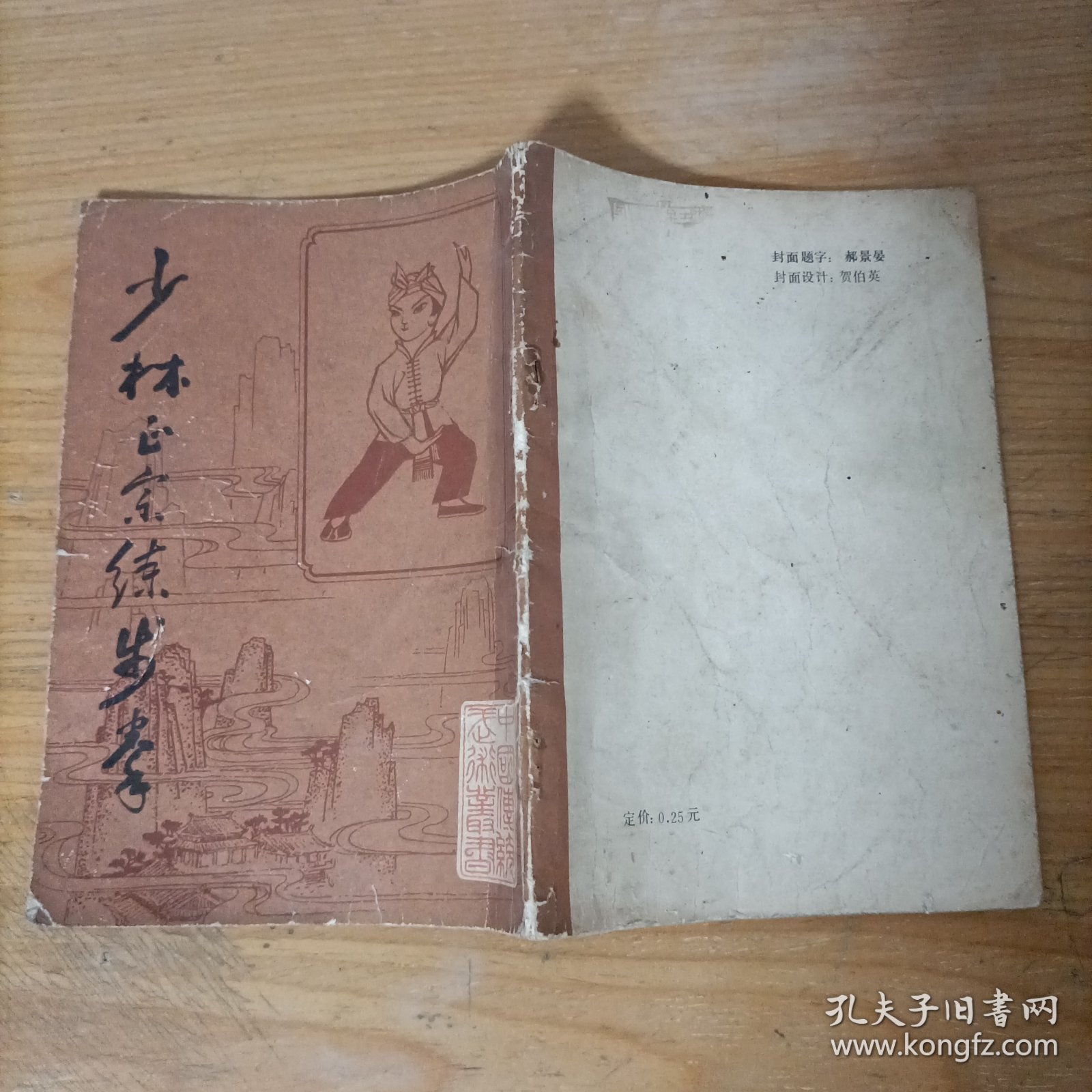 少林正宗练步拳