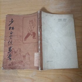 少林正宗练步拳