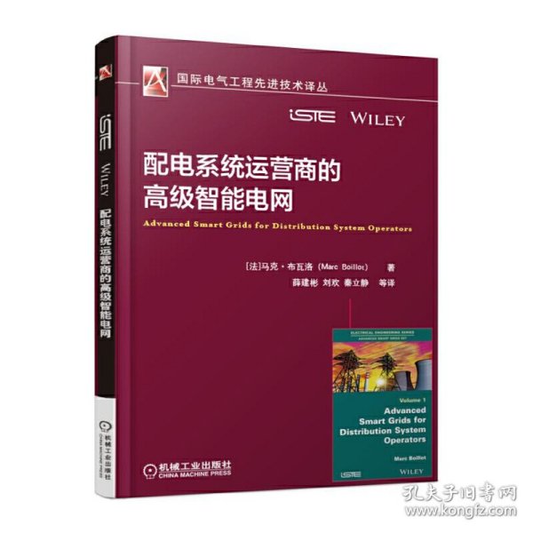 配电系统运营商的高级智能电网