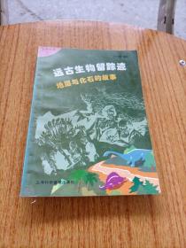 远古生物留踪迹:地层与化石的故事