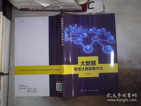 地理信息系统理论与应用丛书：大数据智慧计算原理方法