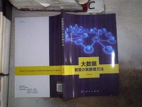 地理信息系统理论与应用丛书：大数据智慧计算原理方法