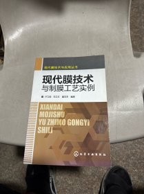 现代膜技术与应用丛书--现代膜技术与制膜工艺实例