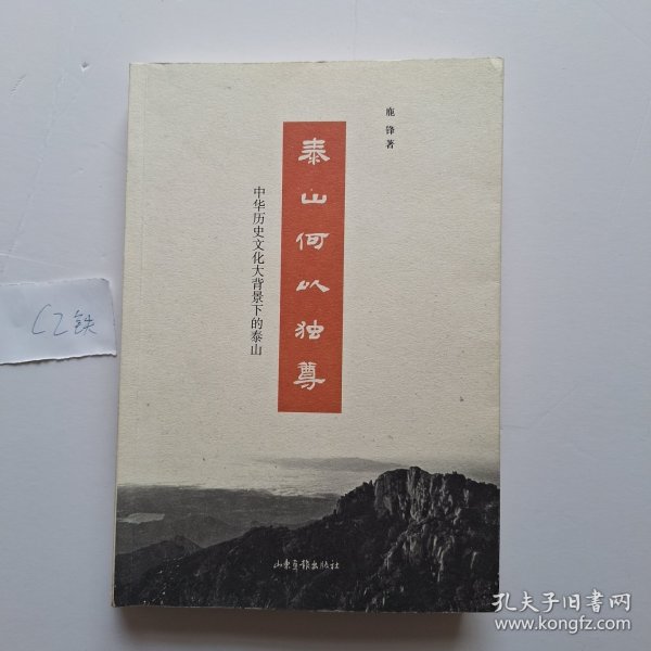 泰山何以独尊：中华历史文化大背景下的泰山