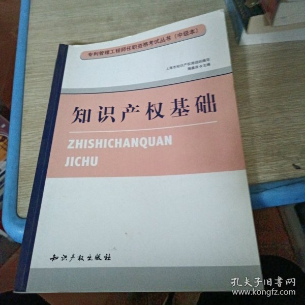 专利管理工程师任职资格考试丛书（中级本）：知识产权基础