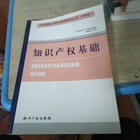 专利管理工程师任职资格考试丛书（中级本）：知识产权基础