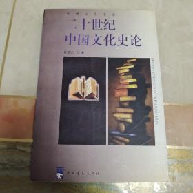 二十世纪中国文化史论（内页干净未翻阅）