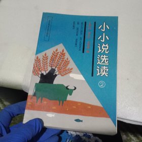 小小说选读2