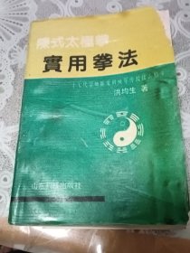 陈氏太极拳实用拳法