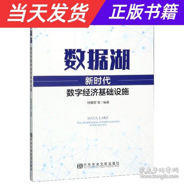 数据湖：新时代数字经济基础设施