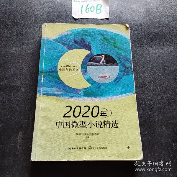 2020年中国微型小说精选（2020中国年选系列）