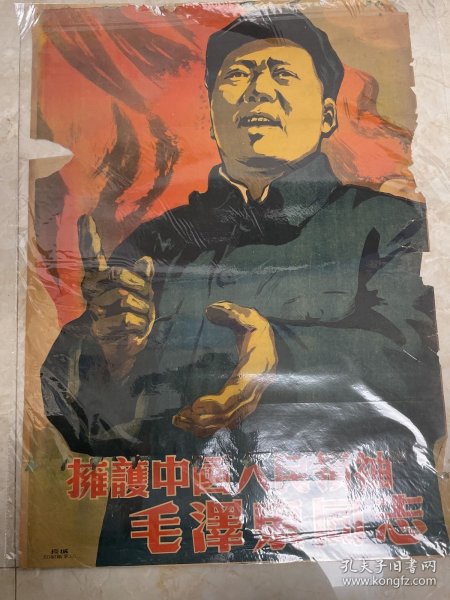 宣传画---拥护中国人民领袖毛泽东同志