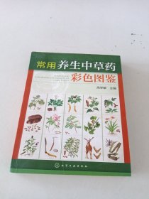 常用养生中草药彩色图鉴