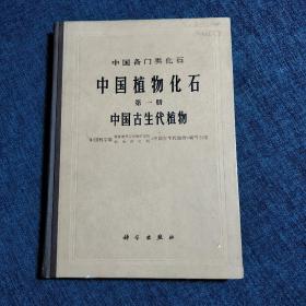 中国各门类化石 中国植物化石 第一册 中国古生代植物