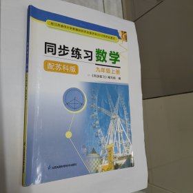同步练习 数学 九年级上册 苏科版