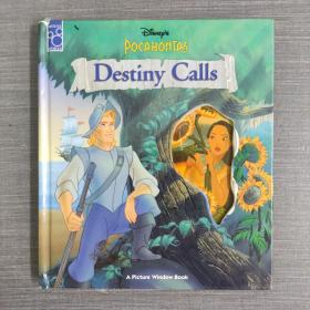 DESTINY CALLS