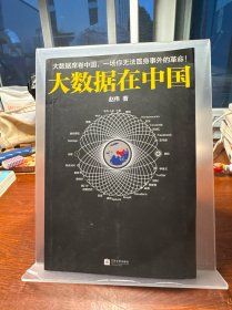大数据在中国