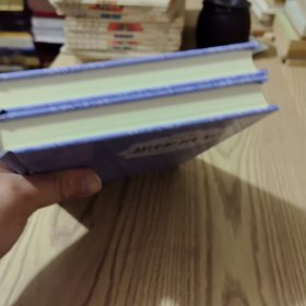插图典藏本悲惨世界：上下