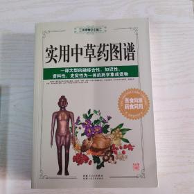 实用中草药图谱