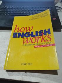 How English Works：A Grammar Practice Book       Oxford University Press, USA