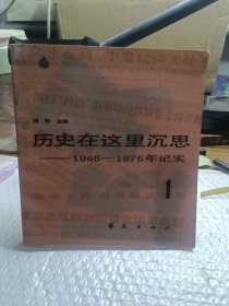 历史在这里沉思。 1 1966~1976年记实