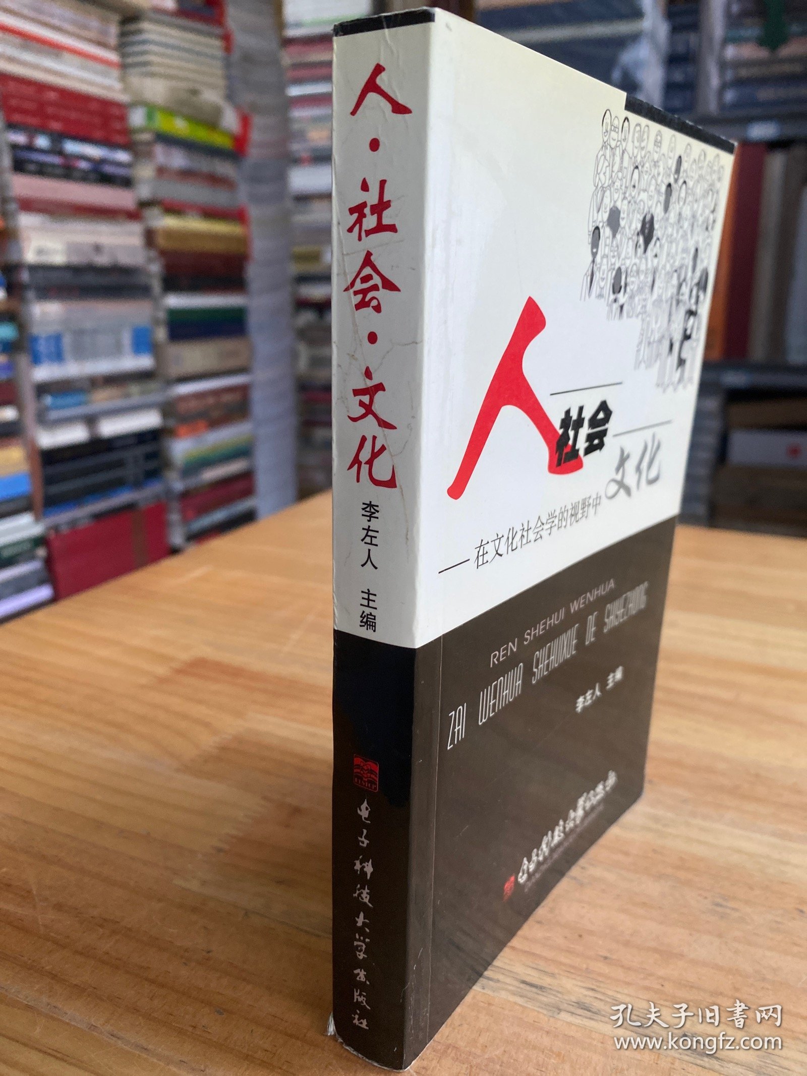 人社会文化——在文化社会学的视野中