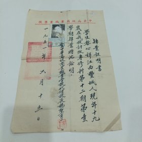 1951年，中华高级商业職业学校，校长楊聖亨毛笔（毕业证明书）20X29
