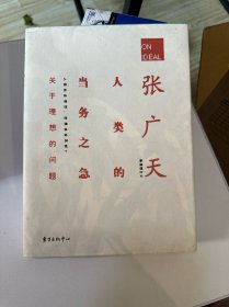 人类的当务之急：关于理想的问题,先锋导演的理想国