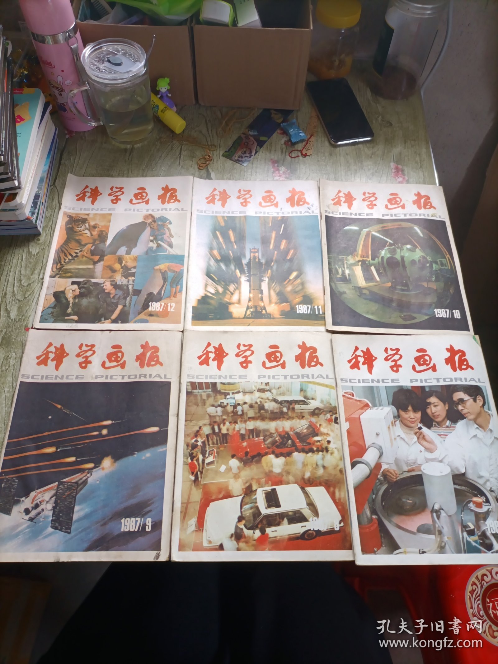 科学画报1987年1-12（全12册）