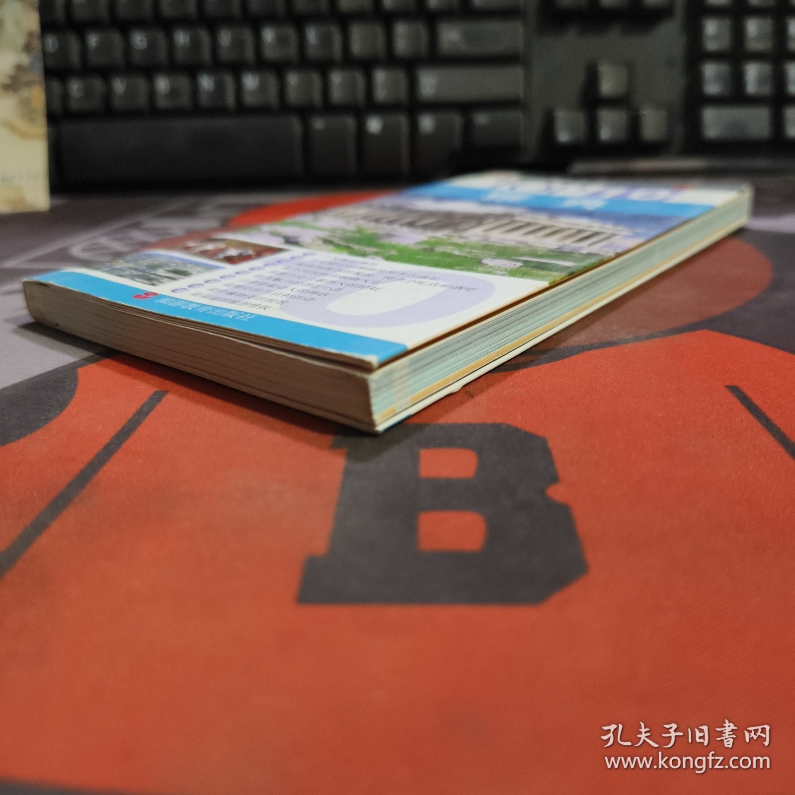 雅典.TOP10全球魅力城市旅游丛书（32开铜版纸彩印）