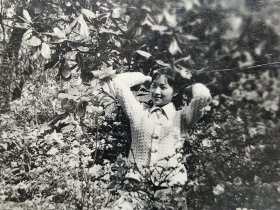 建国早期常州长辫子美女老照片(取自常州一个女职工老相册，仅供参考，购者自辨)