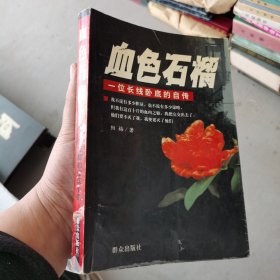 血色石榴:一位长线卧底的自传