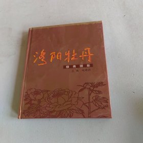 洛阳牡丹:穆青摄影