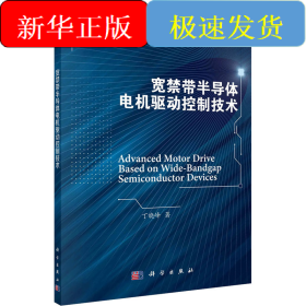 宽禁带半导体电机驱动控制技术