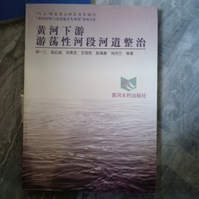 黄河下游游荡性河段河道整治