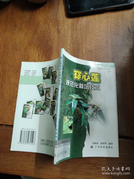 穿心莲规范化栽培技术