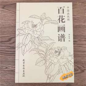 百花画谱 工笔画底稿 百花白描书 线描图谱 花卉工笔底稿书