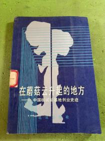 在蘑菇云升起的地方:中国核试验基地创业史迹