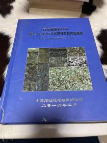 辽河油田杜66块曙1-46-K037井宏观及微观岩心图册