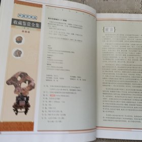 奇石 中国艺术品收藏鉴赏全集：典藏版
