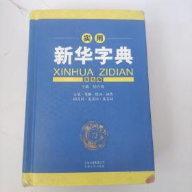 开心辞书 实用新华字典（双色版）