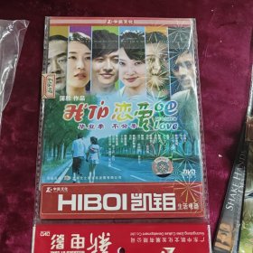 DVD 我们恋爱吧 原封在