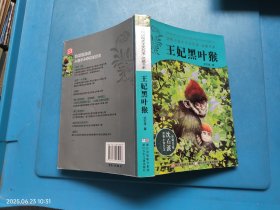 动物小说大王沈石溪：王妃黑叶猴