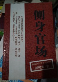 侧身官场