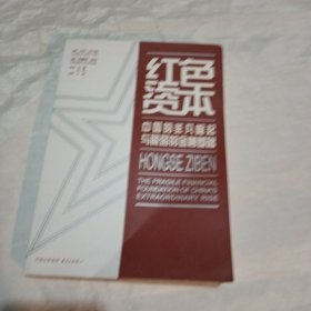 红色资本：中国的非凡崛起与脆弱的金融基础