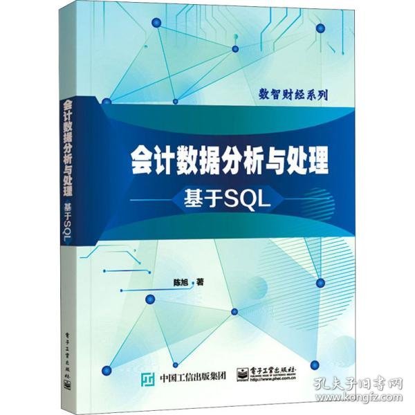 会计数据分析与处理：基于SQL