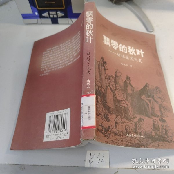 飘零的秋叶：肺结核文化史——疾病与文化丛书